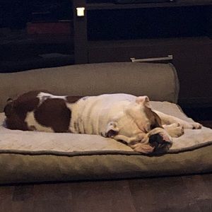 Meet your Posher, Jesus